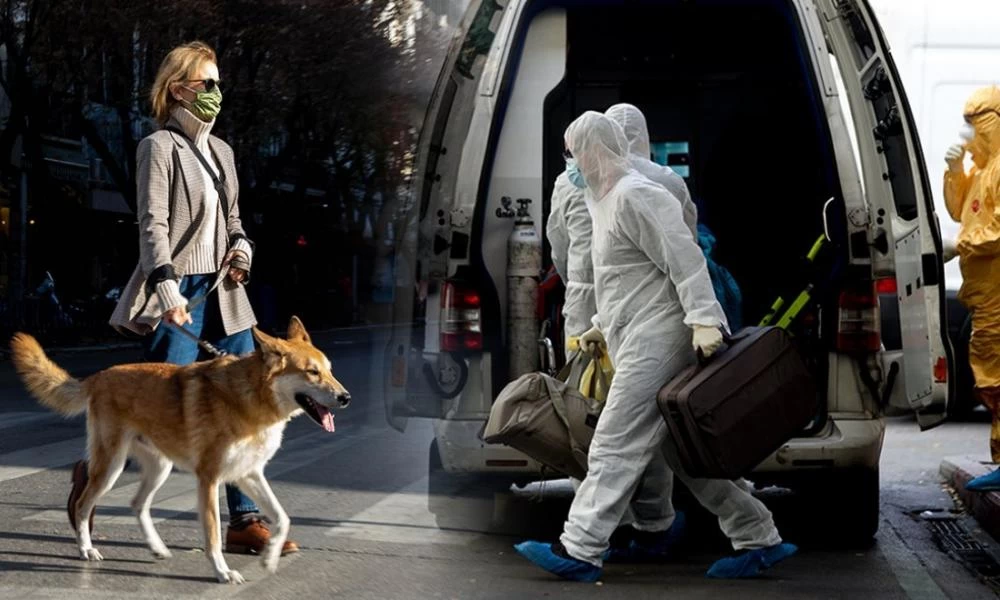 Πόσες μέρες μπορεί να είναι κάνεις μεταδότης του κορονοϊού